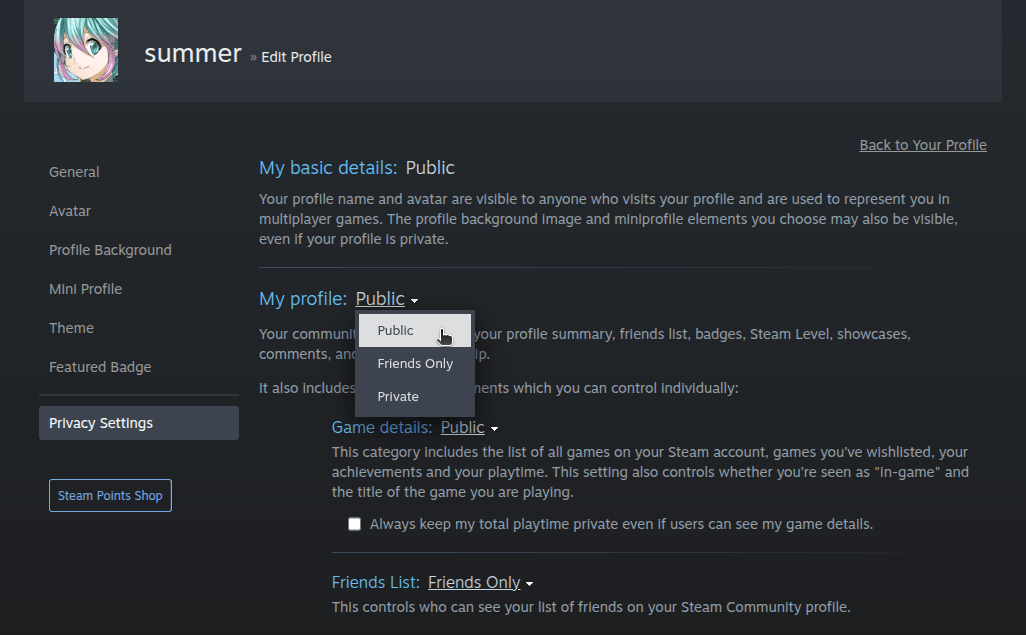 How do I change the visibility of my Steam profile and inventory? - Step 4