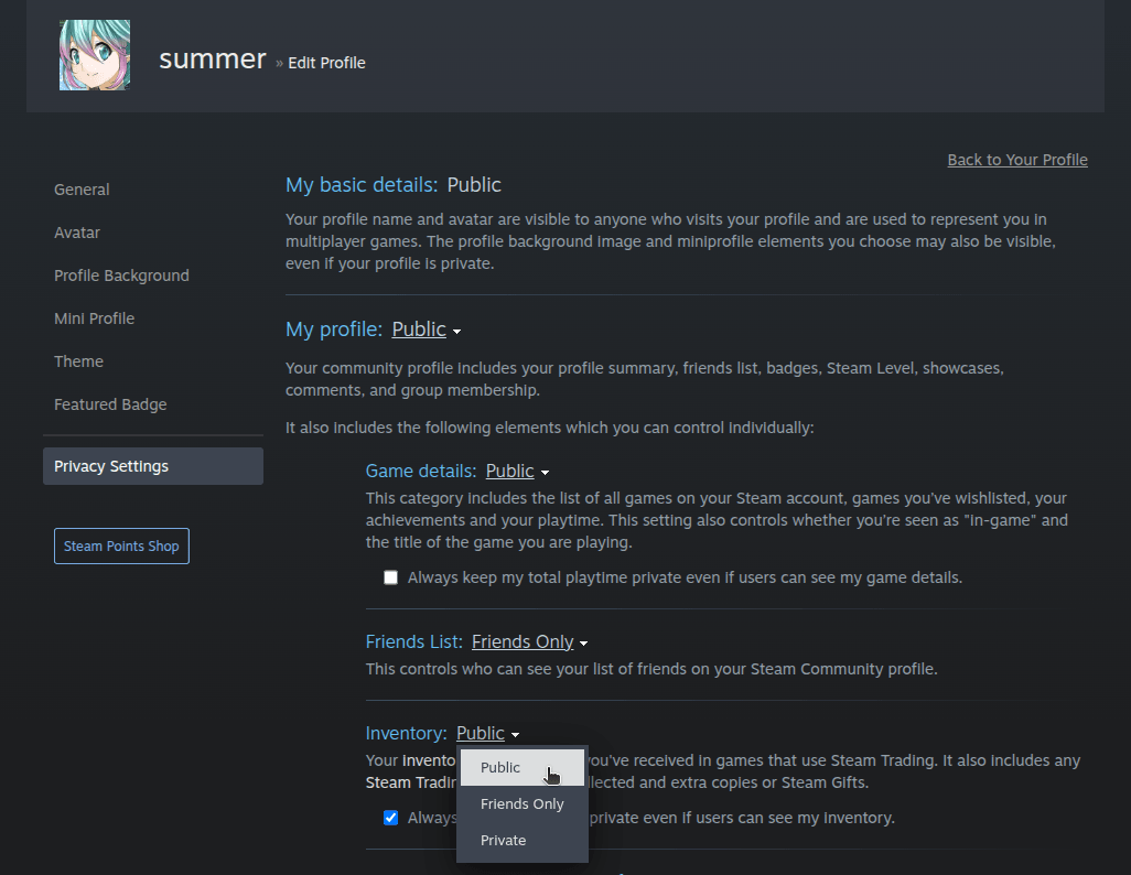 How do I change the visibility of my Steam profile and inventory? - Step 5