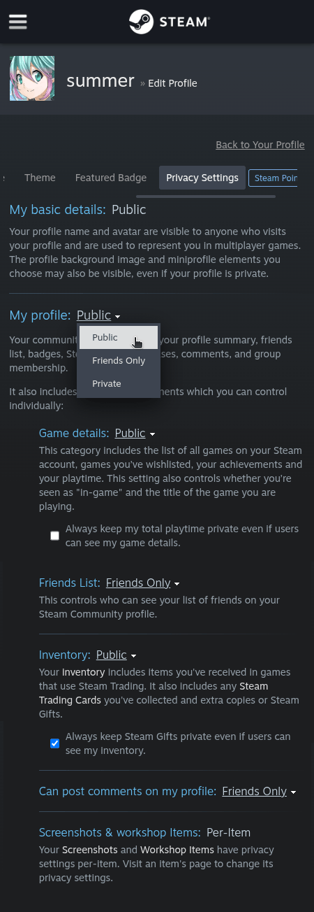 How do I change the visibility of my Steam profile and inventory? - Step 5
