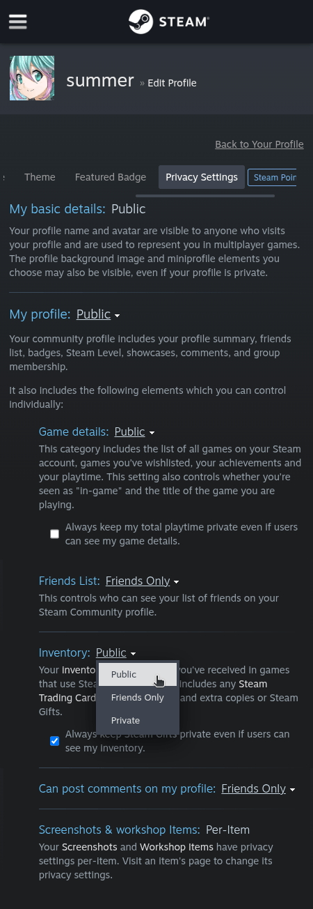 How do I change the visibility of my Steam profile and inventory? - Step 6