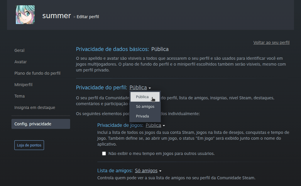 Como alterar a visibilidade de meu perfil e invantário da Steam? - Passo 4