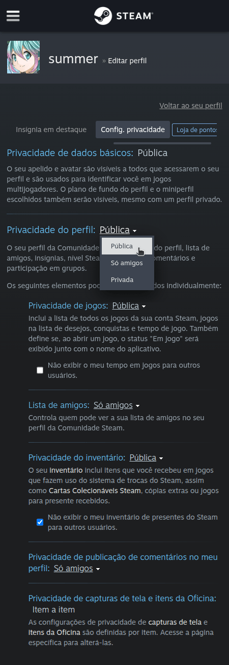 Como alterar a visibilidade de meu perfil e invantário da Steam? - Passo 5