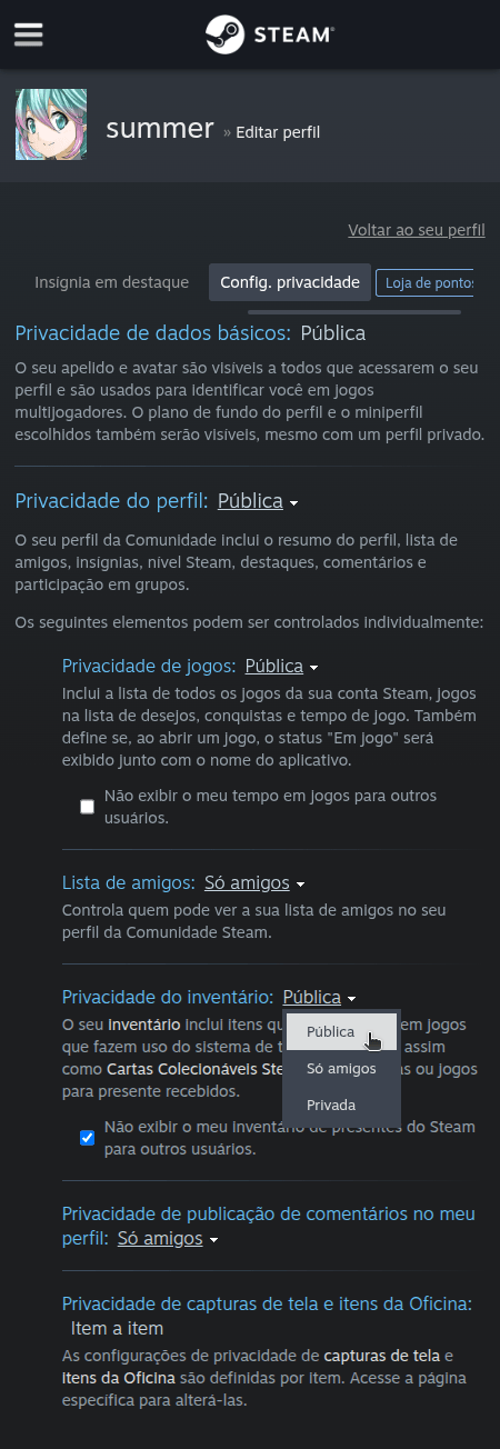 Como alterar a visibilidade de meu perfil e invantário da Steam? - Passo 6